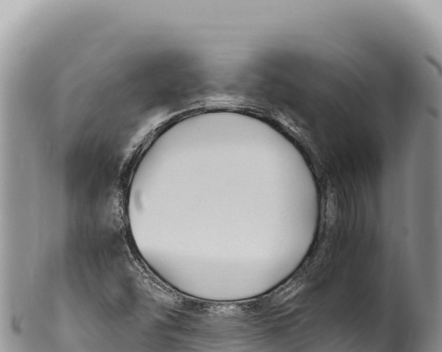 X0000100221454200806201456