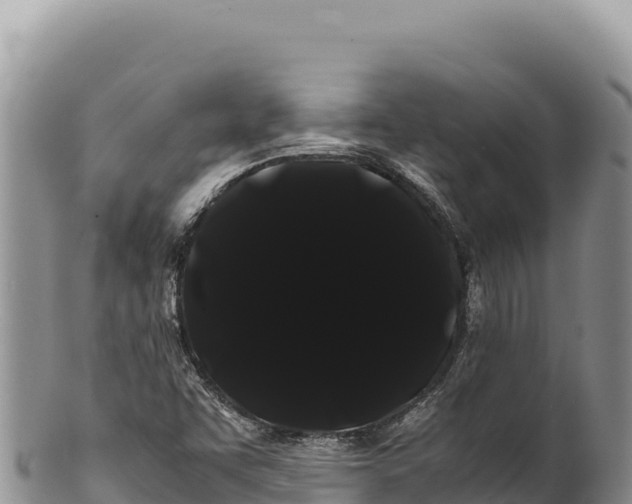 X0000100221455200806201456