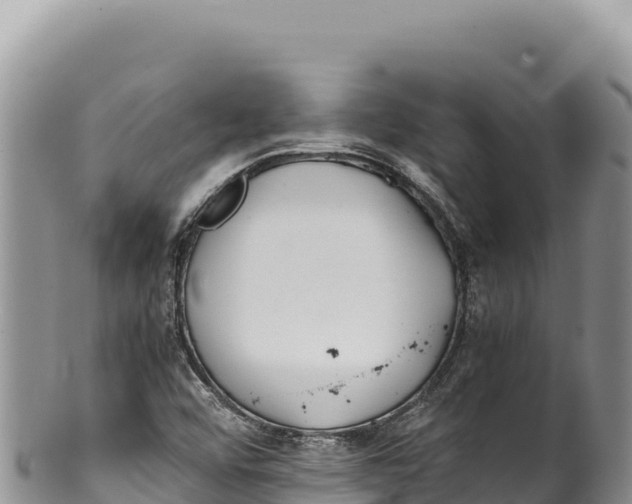 X0000100221456200806201456