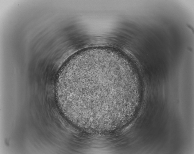 X0000100221457200806201456