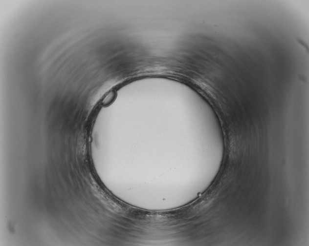 X0000100221458200806201456