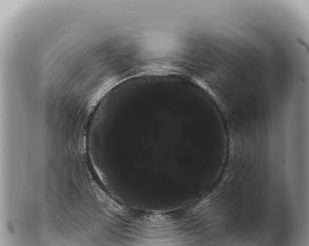 X0000100221459200806201456