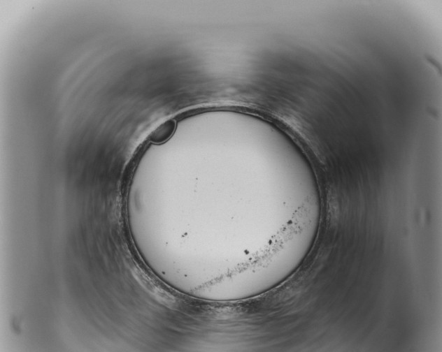 X0000100221460200806201456