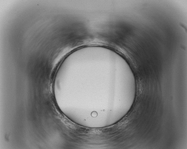 X0000100221462200806201456