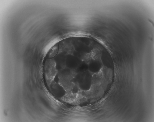 X0000100221463200806201456