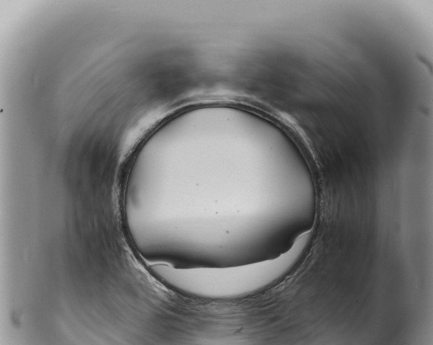 X0000100221464200806201456