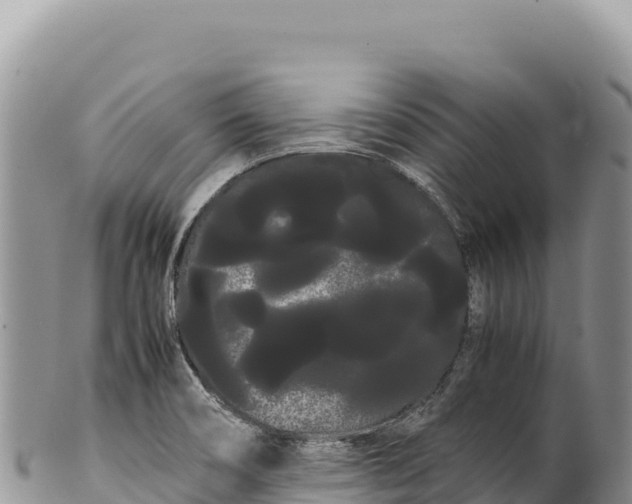 X0000100221466200806201456