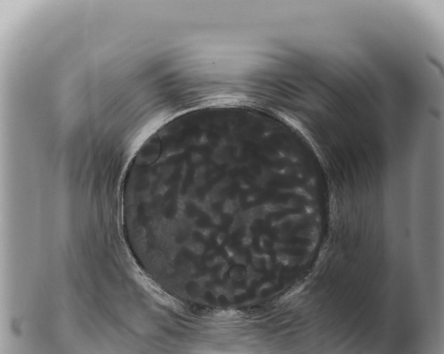 X0000100221467200806201456