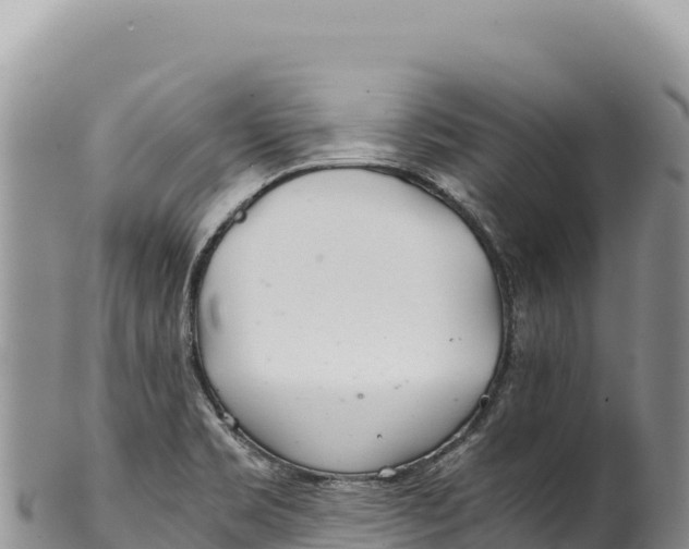 X0000100221469200806201456