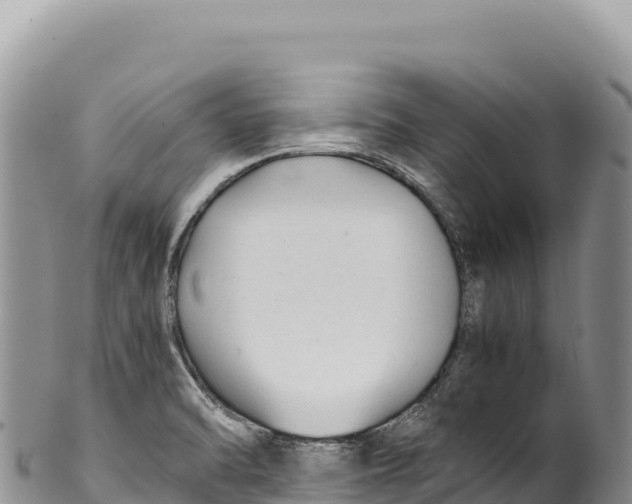 X0000100221470200806201456