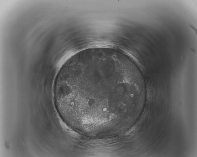 X0000100221471200806201456