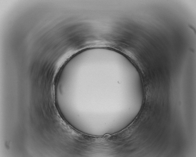 X0000100221472200806201456