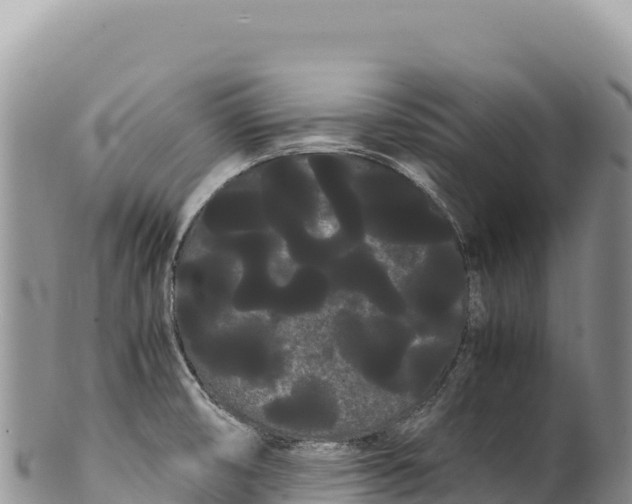 X0000100221474200806201456