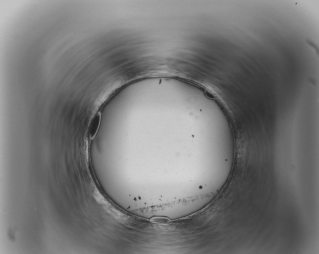 X0000100221476200806201456