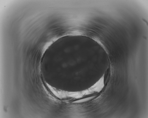 X0000100221477200806201456