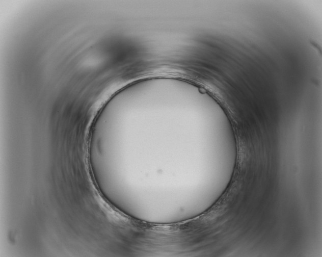 X0000100221478200806201456