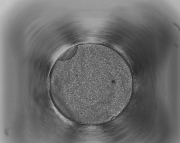 X0000100221479200806201456