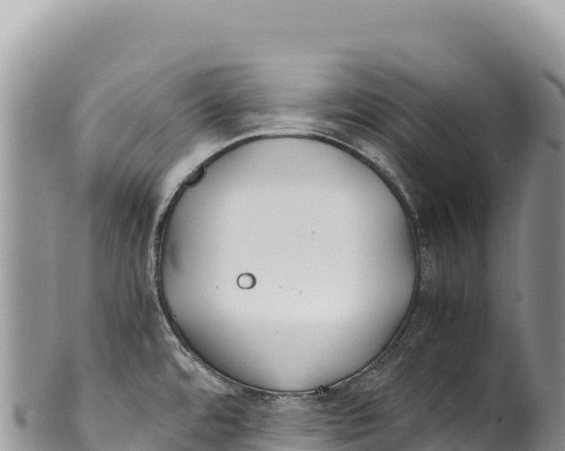 X0000100221480200806201456