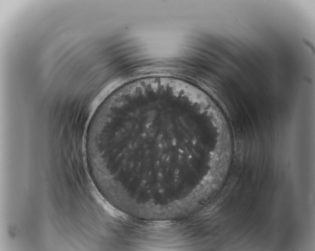 X0000100221482200806201456