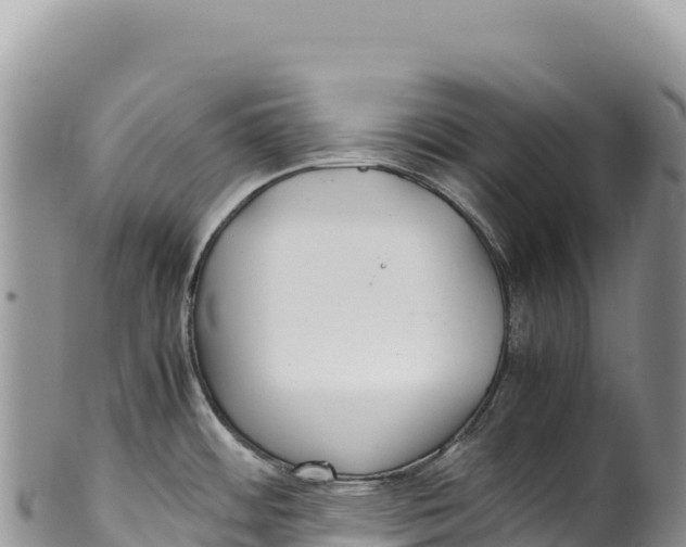 X0000100221484200806201456