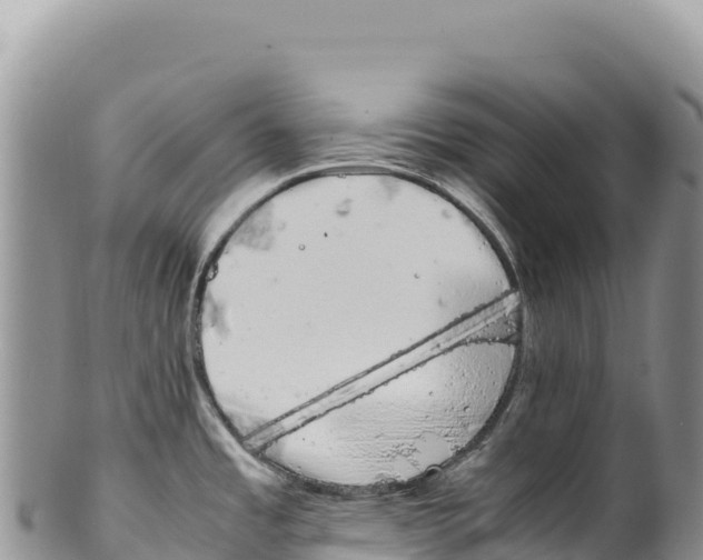 X0000100221485200806201456