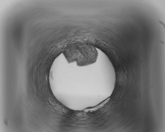 X0000100221489200806201455