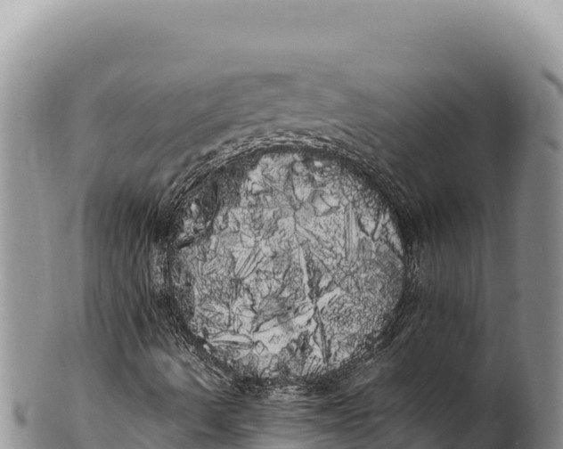 X0000100221490200806201455