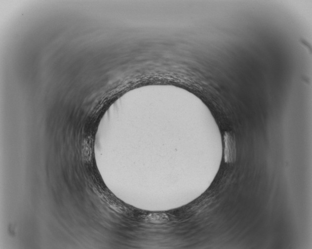 X0000100221491200806201455