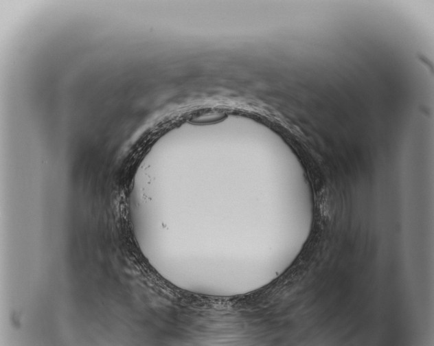 X0000100221495200806201455