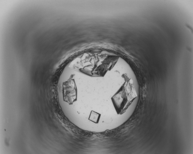 X0000100221496200806201455