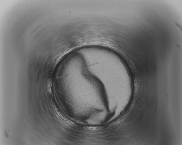 X0000100221497200806201455