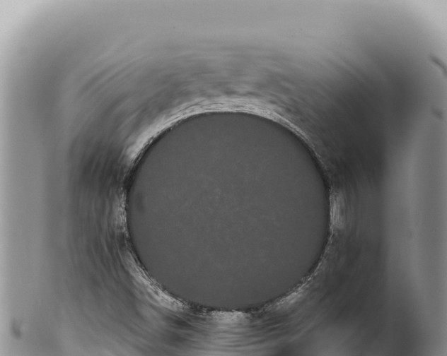 X0000100221498200806201455