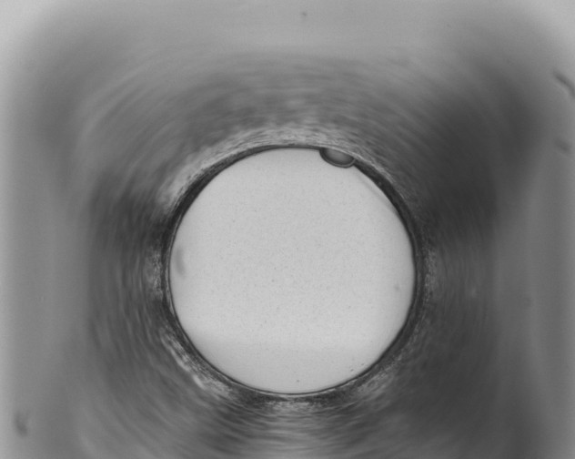 X0000100221499200806201455