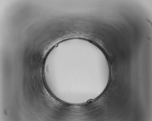 X0000100221500200806201455