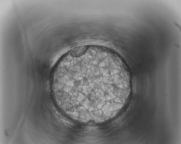 X0000100221501200806201455