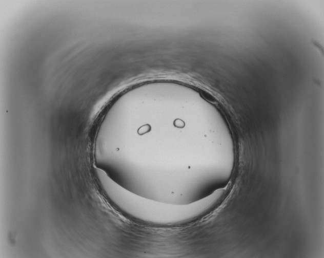 X0000100221502200806201455