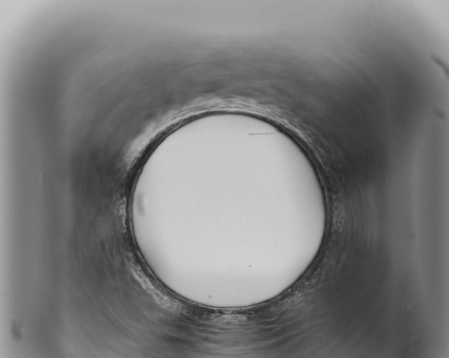 X0000100221503200806201455