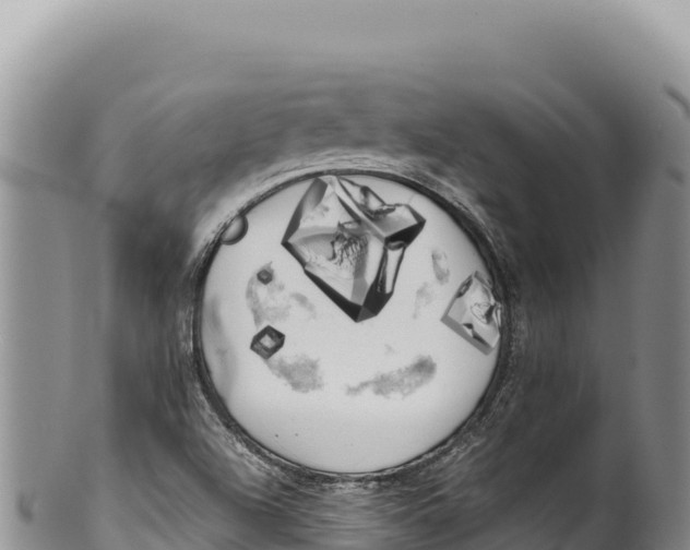 X0000100221504200806201455