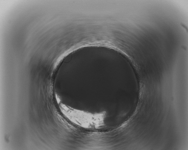 X0000100221506200806201455