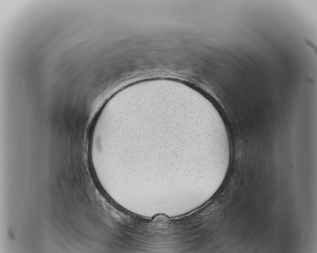 X0000100221508200806201455