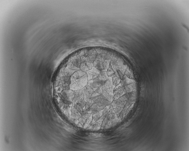 X0000100221509200806201455