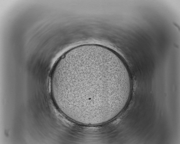 X0000100221510200806201455