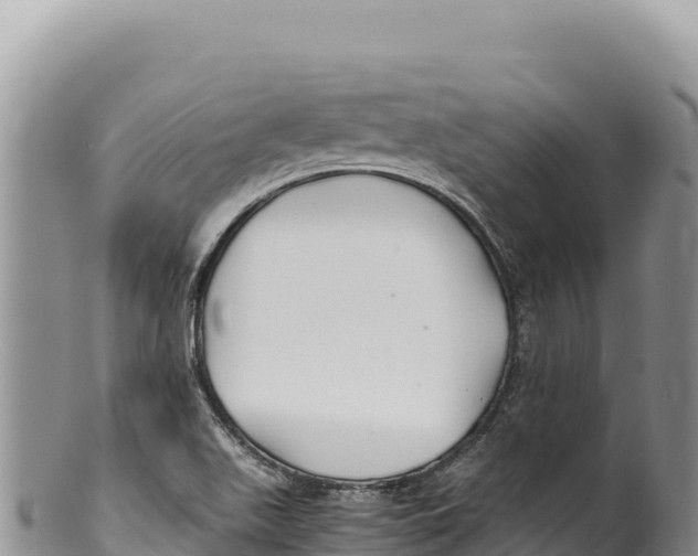 X0000100221511200806201455