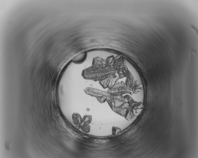 X0000100221513200806201455