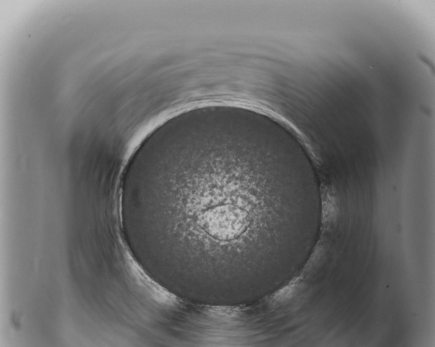 X0000100221514200806201455