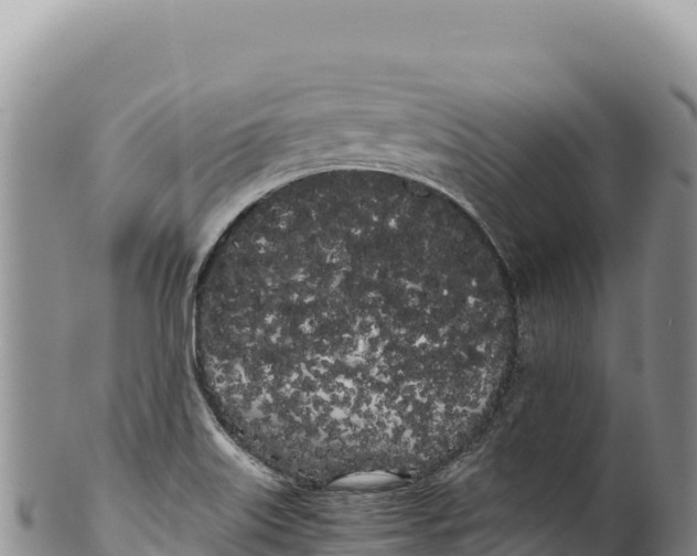 X0000100221515200806201455