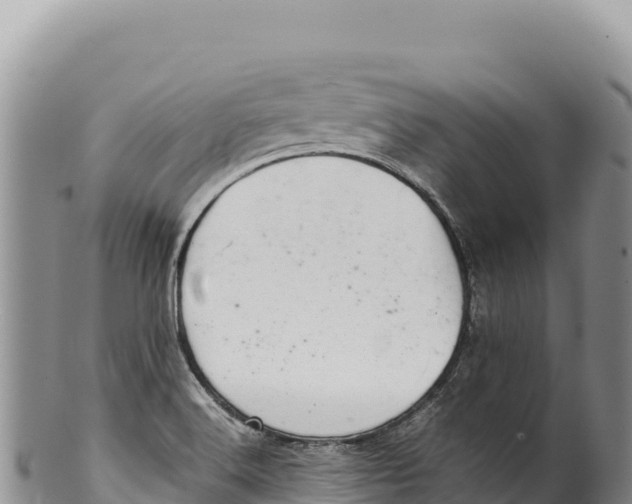 X0000100221516200806201456