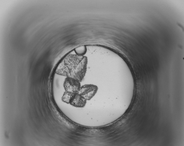 X0000100221517200806201456