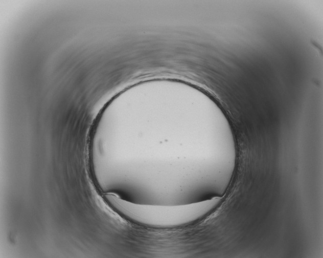 X0000100221518200806201456