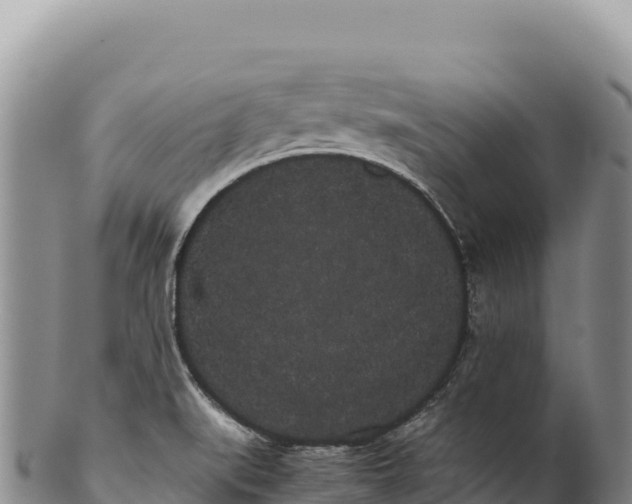 X0000100221519200806201456